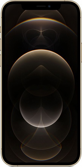 Смартфон Apple iPhone 12 Pro Max 128GB (золото)